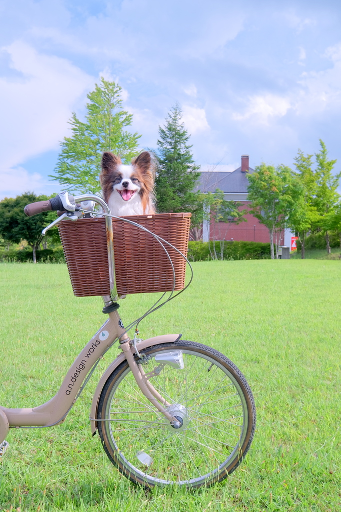 高原と自転車・・・そして僕