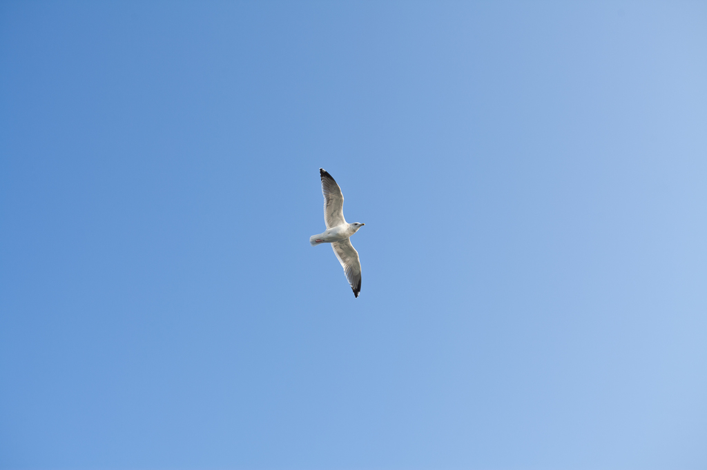 20140201-IMG_3549