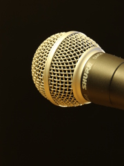 SHURE SM58