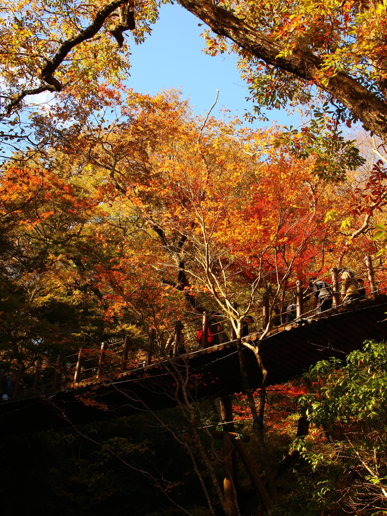 紅葉橋
