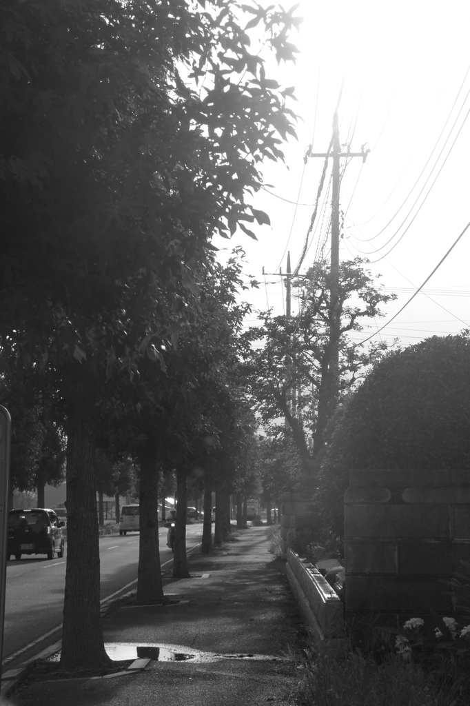 街路地
