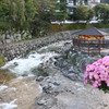 とっこの湯 