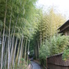 竹林の小径