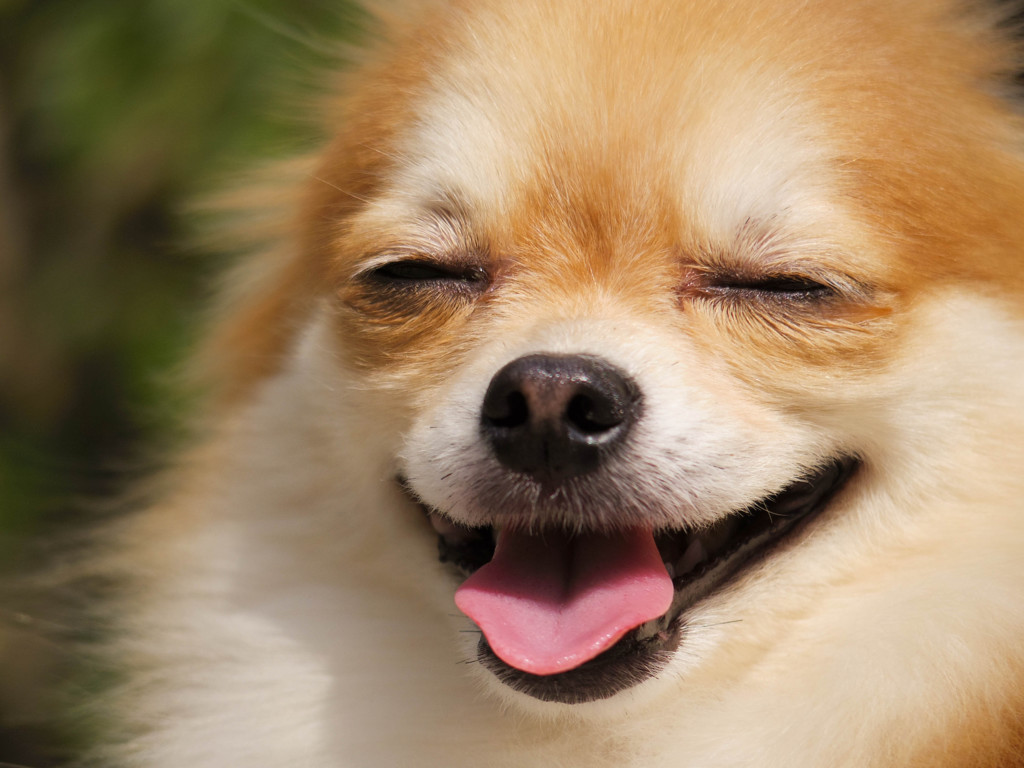 Smile♪
