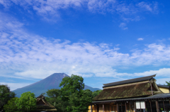 忍野からの富士