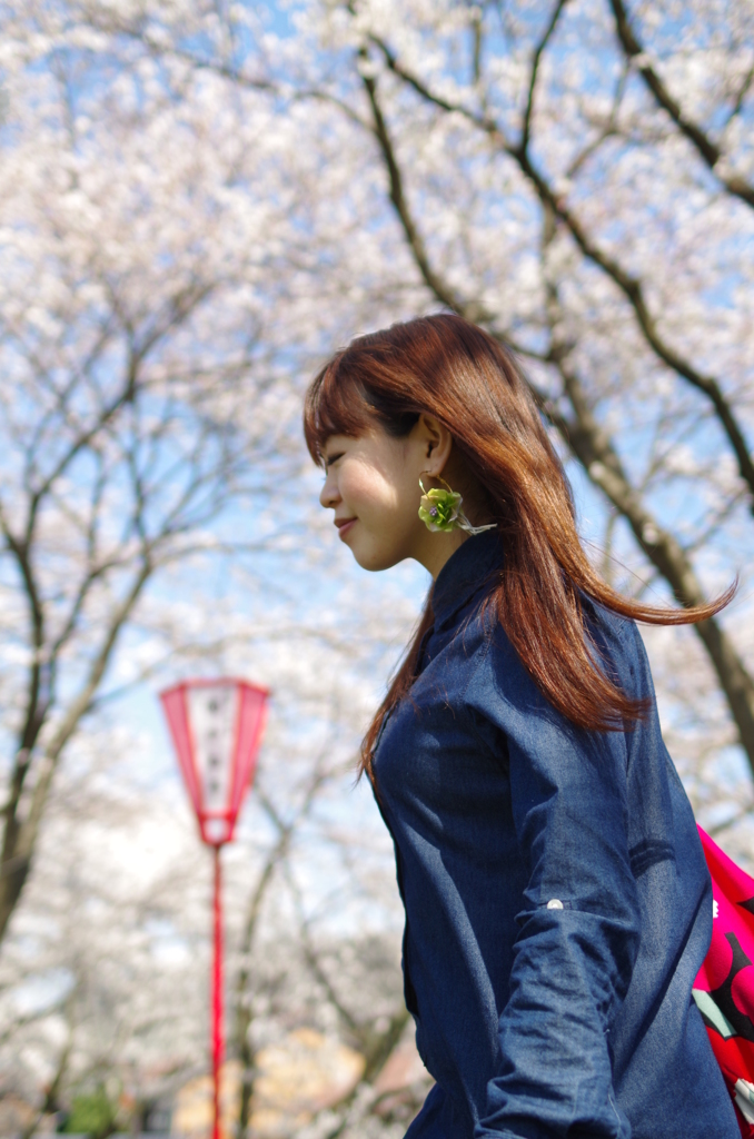 桜の時