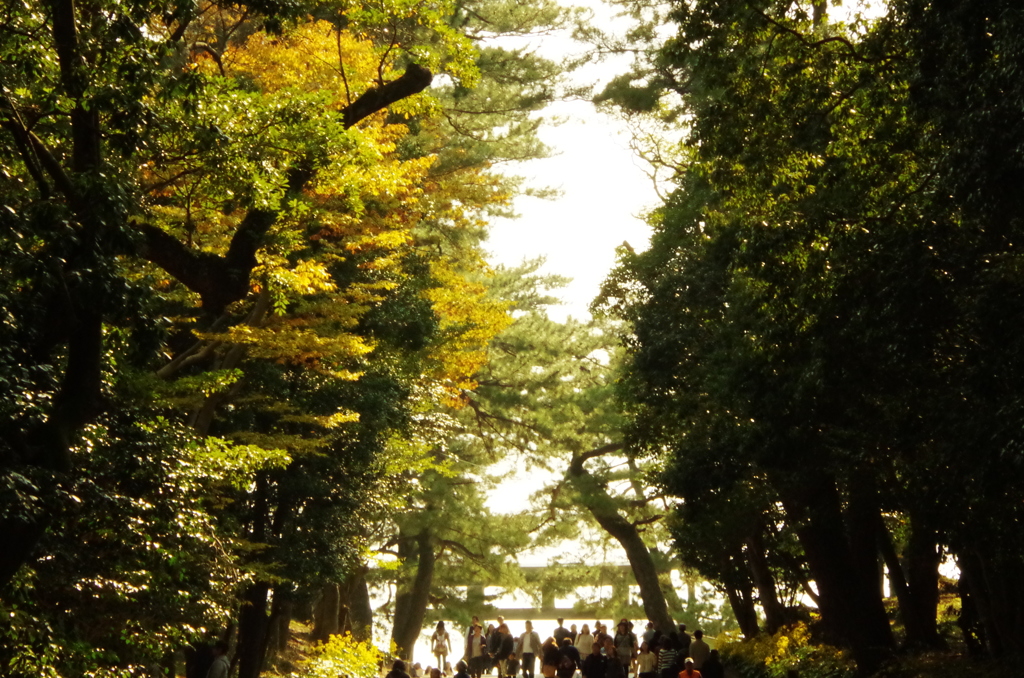 神話の国へ続く道