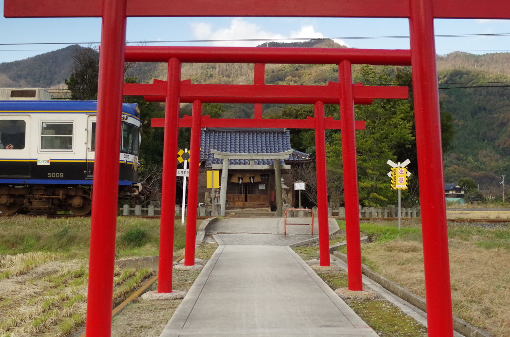 鳥居の間を駆け抜ける