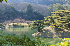 松