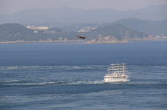 【徳島】船と鳥【渦潮】