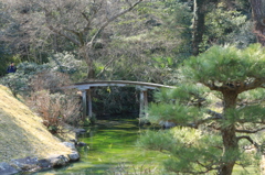 橋