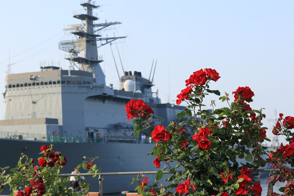 【高松港】花と軍艦【うらが】