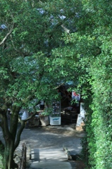 【栗林公園】もうすぐ休憩【マクロレンズ】