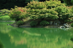 【栗林公園】紅葉Coming　Soon【マクロレンズ】