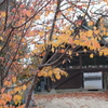 紅葉と神社