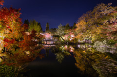 総本山永観堂禅林寺 極楽橋から見る放生池