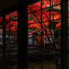 高野山　金剛峯寺①