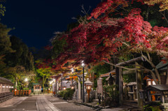 八坂神社　紅葉