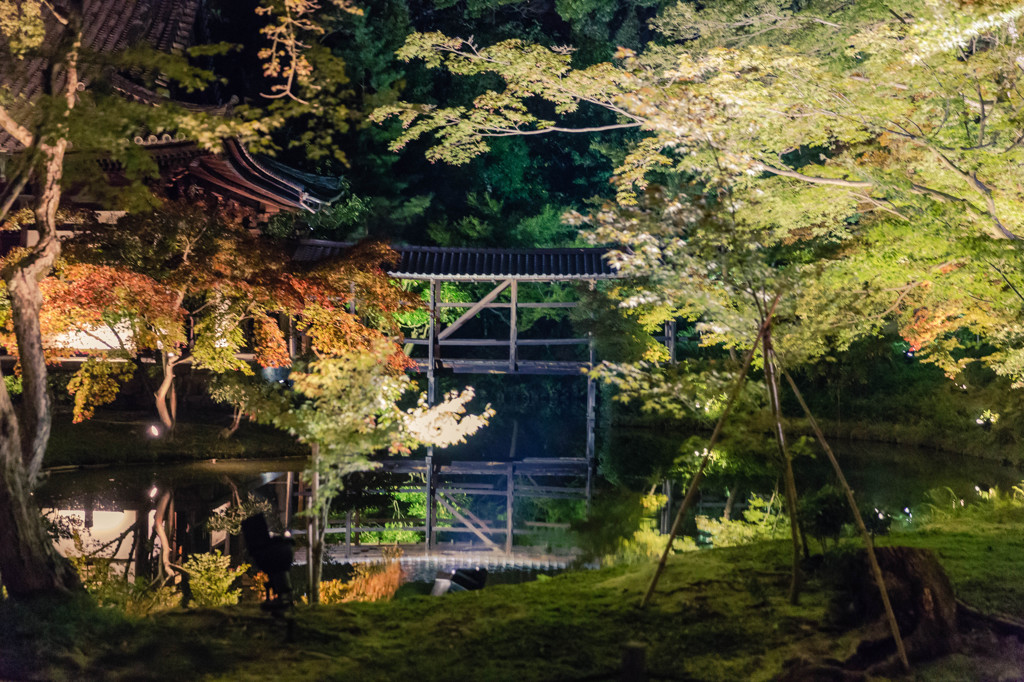 高台寺　臥龍廊