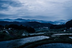 長谷の棚田⑥