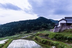 長谷の棚田②