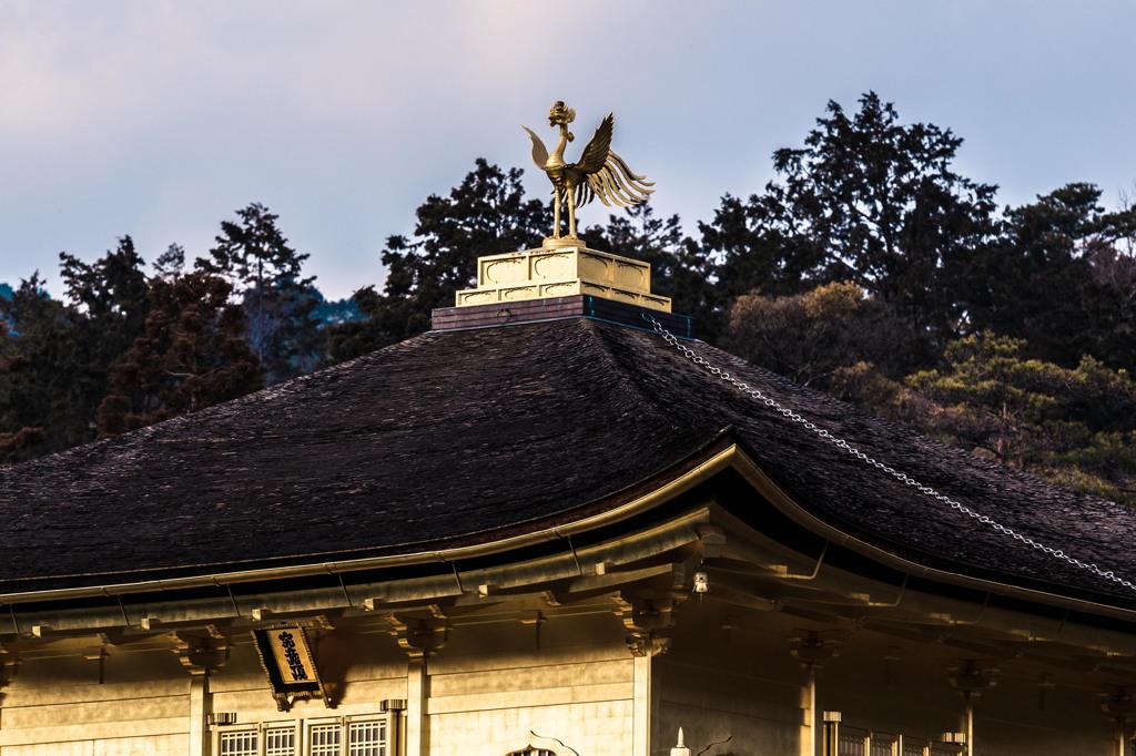 金閣寺③