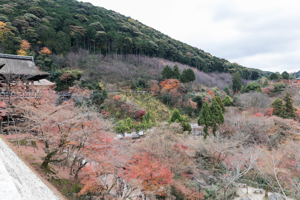 晩秋の清水寺