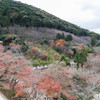 晩秋の清水寺