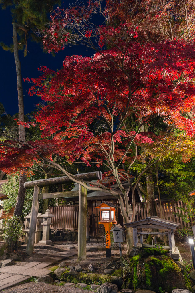 八坂神社　紅葉