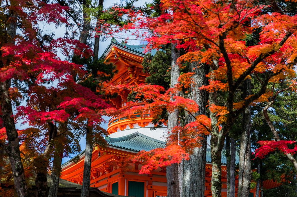 高野山　金剛峯寺