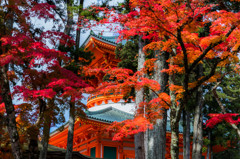 高野山　金剛峯寺