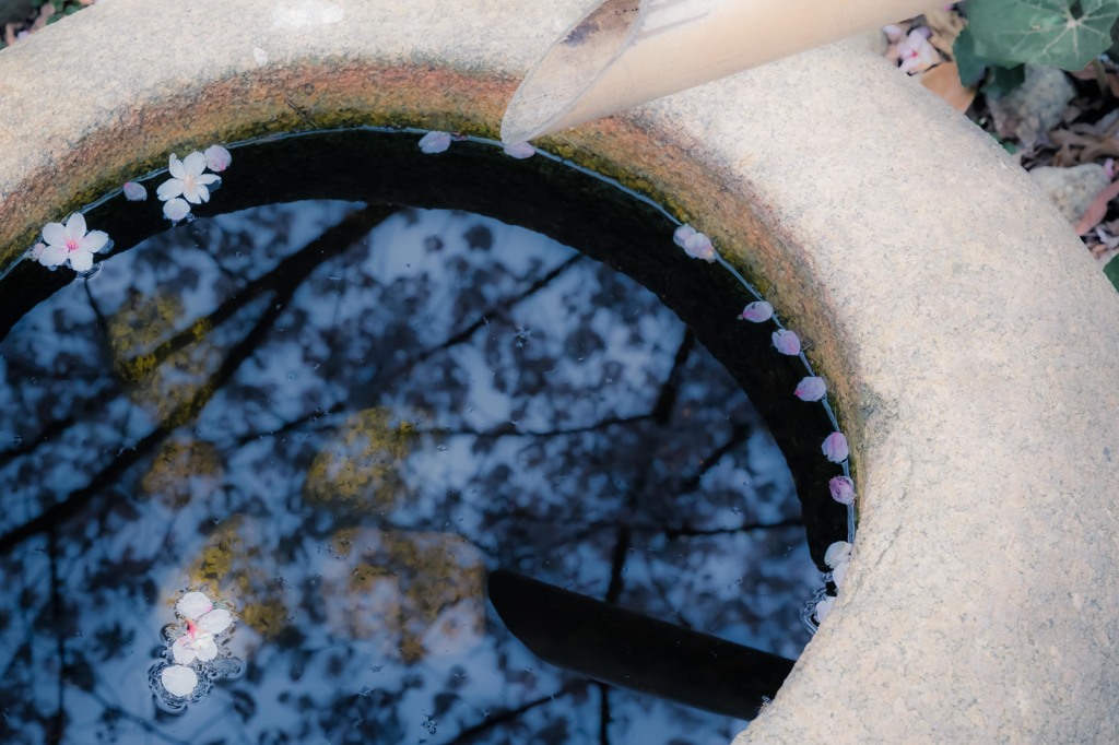 Reflection