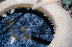 Reflection