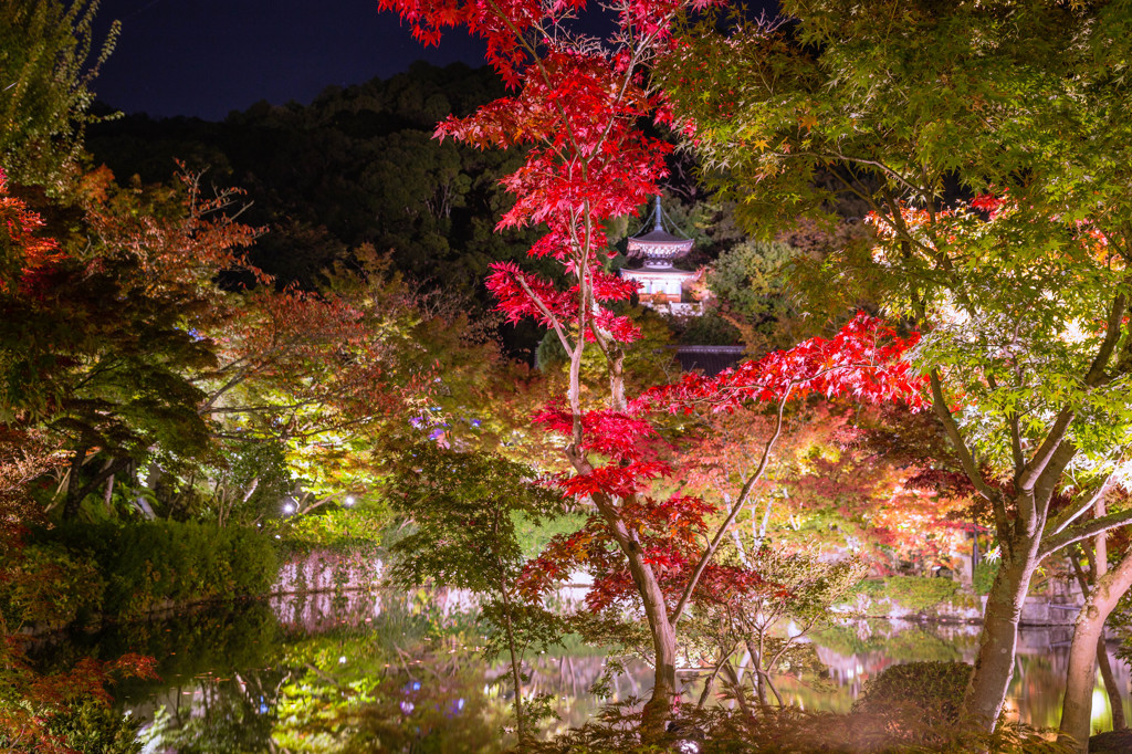 総本山永観堂禅林寺 放生池