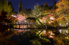 総本山永観堂禅林寺 極楽橋から見る放生池