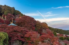 勝尾寺2014④