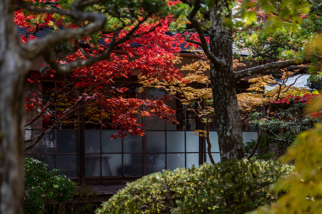 恵光院