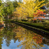 秋の蓮池