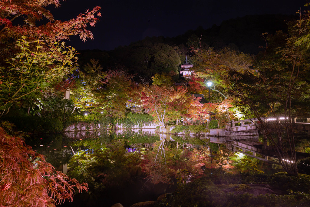 総本山永観堂禅林寺 放生池