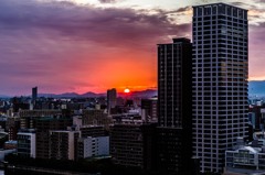 大阪　秋の夕景