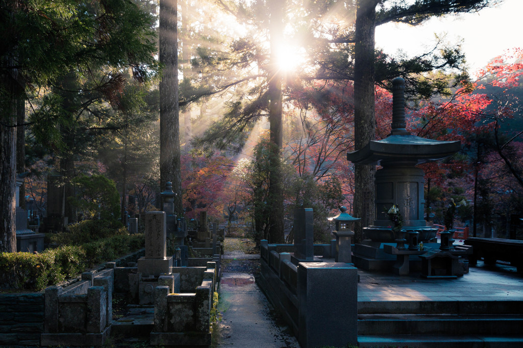 高野山　奥之院②