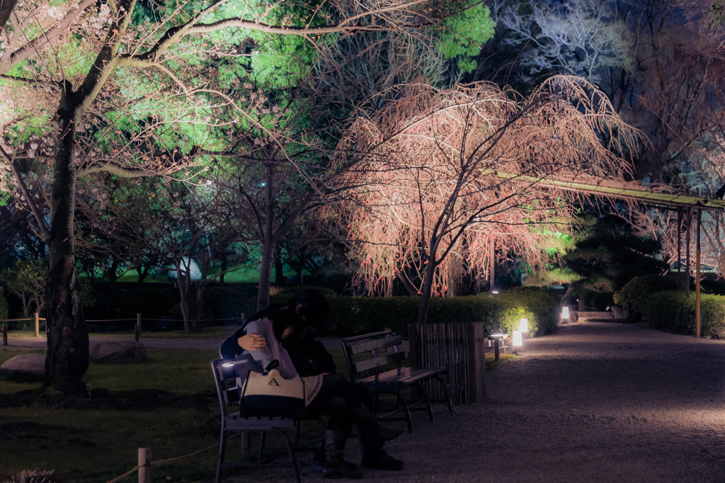 桜よりも