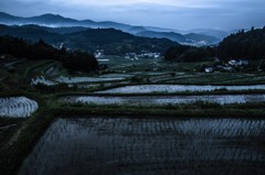 長谷の棚田⑧