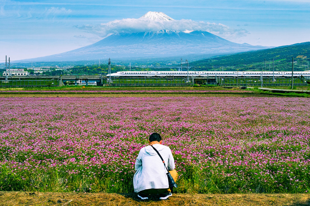 富士山れんげまつり（の後）撮影中