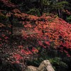 紅葉渓