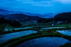 長谷の棚田⑤