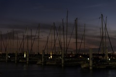 Marina Sunset④