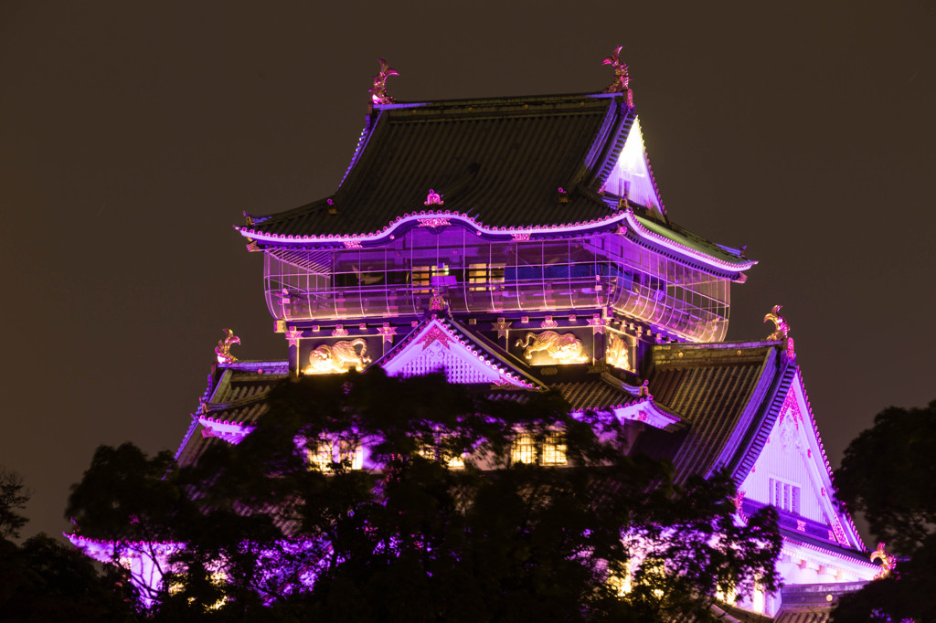 大阪城紫化計画2