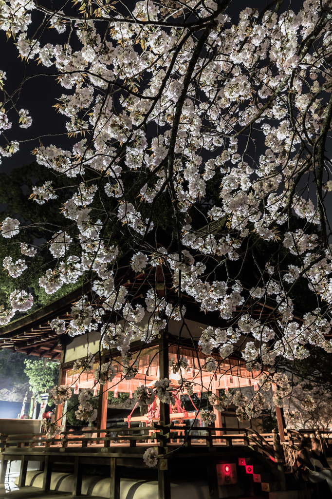 平野神社　拝殿