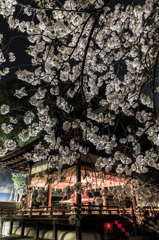 平野神社　拝殿